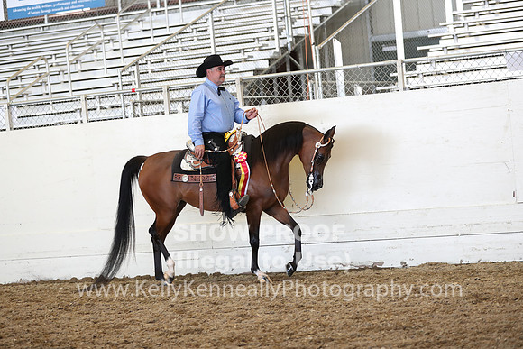 AHANC19_FriPM_2782