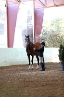 Class 92 Youth Showmanship Handlers 10 & under