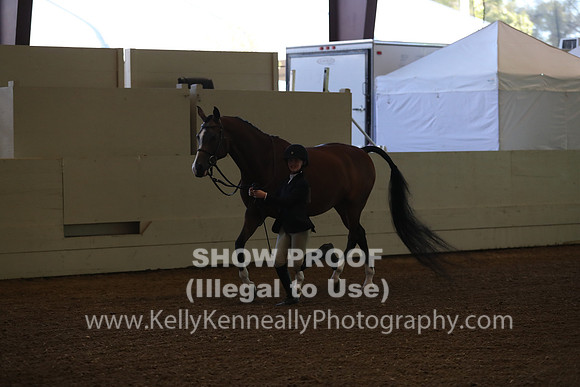 AHANC19_SatAM_2792