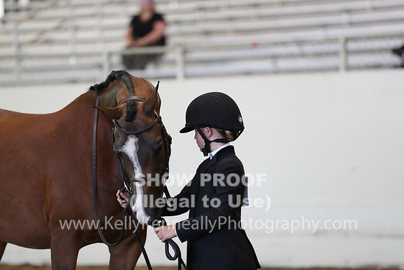 AHANC19_SatAM_2799