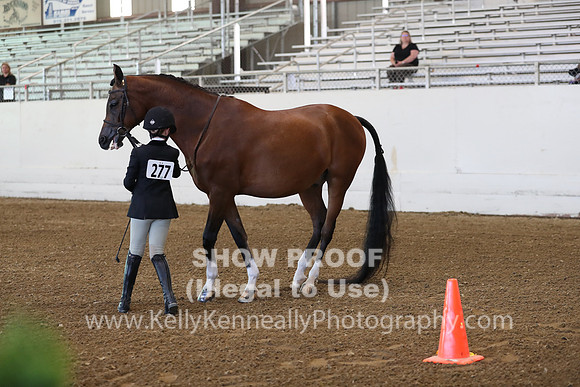 AHANC19_SatAM_2801