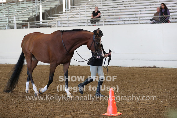 AHANC19_SatAM_2802