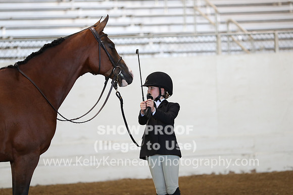 AHANC19_SatAM_2804