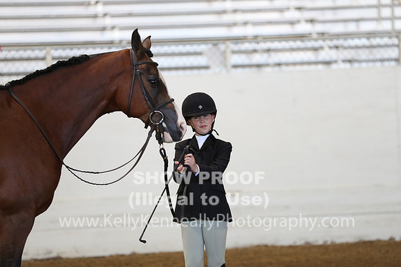 AHANC19_SatAM_2809