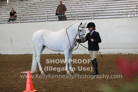AHANC19_SatAM_2814
