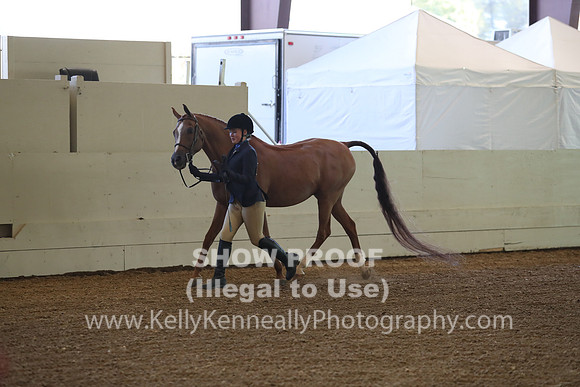 AHANC19_SatAM_2839