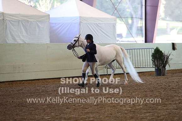 AHANC19_SatAM_2844