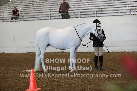 AHANC19_SatAM_2813