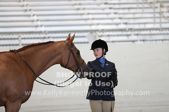 AHANC19_SatAM_2897