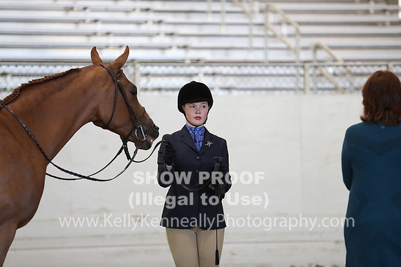AHANC19_SatAM_2899