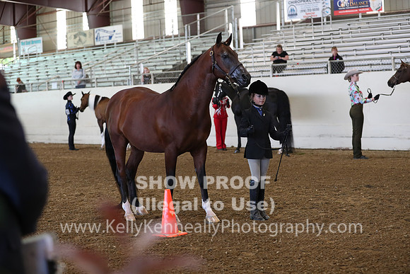 AHANC19_SatAM_2903
