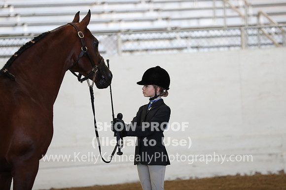 AHANC19_SatAM_2905