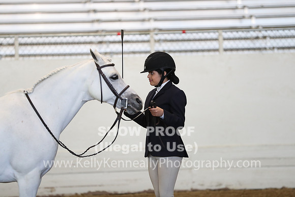 AHANC19_SatAM_2913