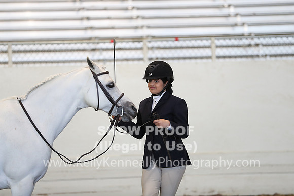 AHANC19_SatAM_2914