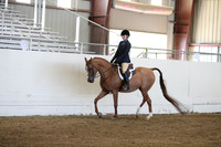 Class 98 Arabian Hunter Pleasure JTR 13 & Under