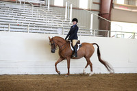 AHANC19_SatAM_2989