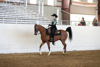 Class 101 Western Seat Equitation Riders 18 & Under