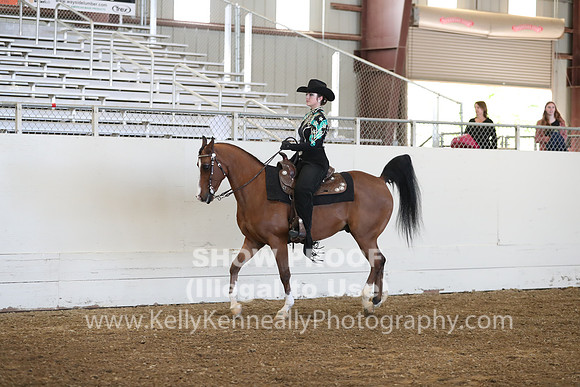 AHANC19_SatAM_3037