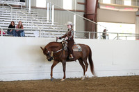 Class 102 HA/AA Western Pleasure JTR 18 & Under