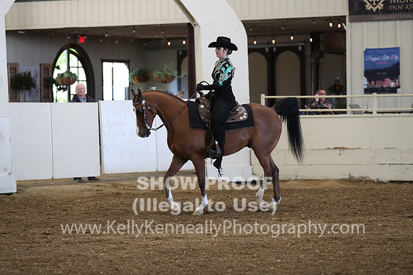 AHANC19_SatAM_3048