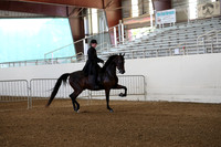Class 108 HA/Aa Country English Pleasure JR Horses