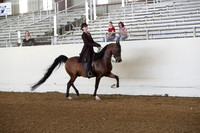 Class 109 AHA Saddle Seat Equitation Medal Class