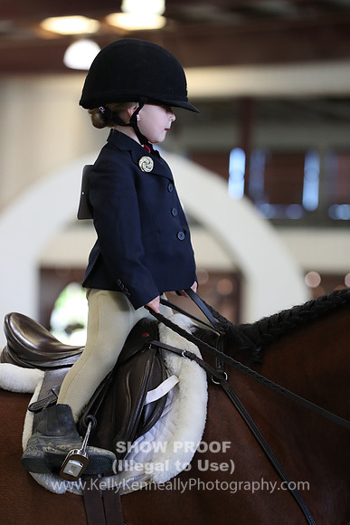 AHANC19_SatAM_3267