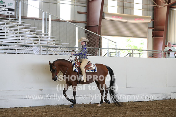 AHANC19_SatAM_3223