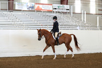 Class 111 Hunter Seat Equitation on the flat-Riders 14-18