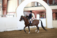 Class 112 AHA Hunter Seat Not to Jump Medal Class 13 & Under
