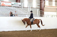 Class 113 AHA HJunter Seat Not to Jump Medal Class 14-18