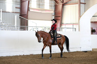Class 114 HA/AA Western Pleasure Championship JTR