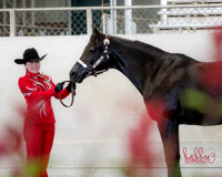 Showmanship