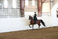 Class 115 HA/Aa Country English Pleasure Championship JTR