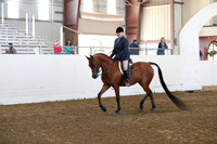 Class 117 Arabian Hunter Pleasure Championship ATR Select Rider