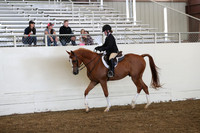 Class 118 A/HA/AA Hunter /Country/English Pleasure Walk Trot Championship 10 & Under
