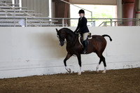 Class 120 Arabian Hunter Pleasure Championship JTR 14-18