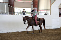 Class 121 Arabian Western Pleasure Championship JTR