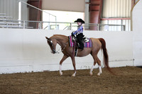 AHANC19_SatPM_3703