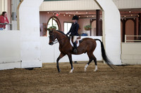 Class 124 Arabian Hunter Pleasure Championship JTR 13 & Under