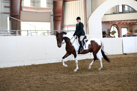 Class 125 HA/AA Hunter Pleasure Championship AATR