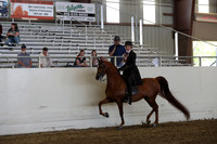 Class 127 HA/AA Country English Pleasure Championship AATR