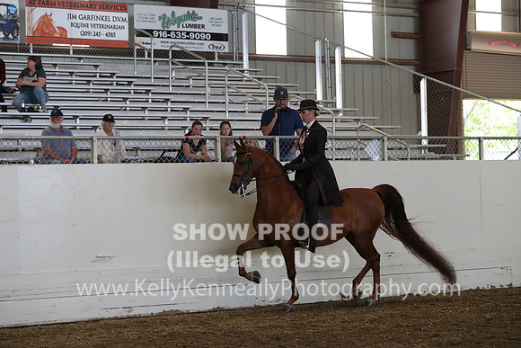 AHANC19_SatPM_4003