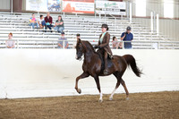 AHANC19_SatPM_4013
