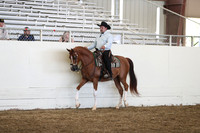AHANC19_SatPM_3952