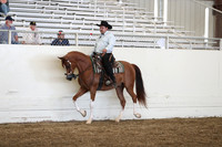 AHANC19_SatPM_3953