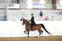AHANC19_SatPM_4030