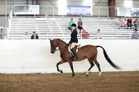 Class 128 HA/AA Hunter Pleasure Championship JTR 14-18