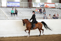 Class 130 Arabian Country Englsih Pleasure Championship AATR