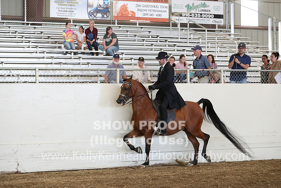 AHANC19_SatPM_4172